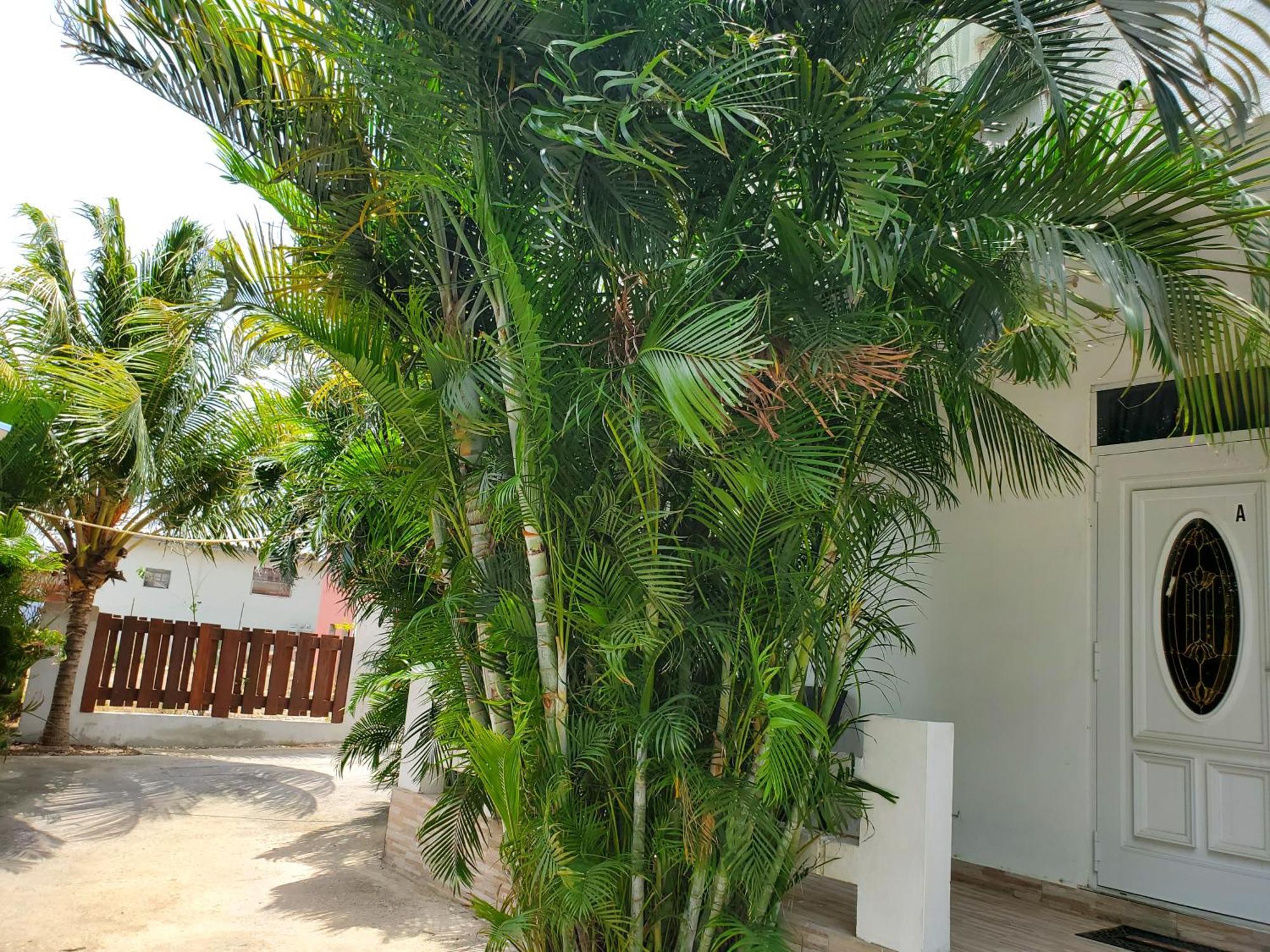 Grand Sun Valley Residences Willemstad Extérieur photo